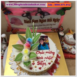 Bánh Kem Bắp Phomai - G396